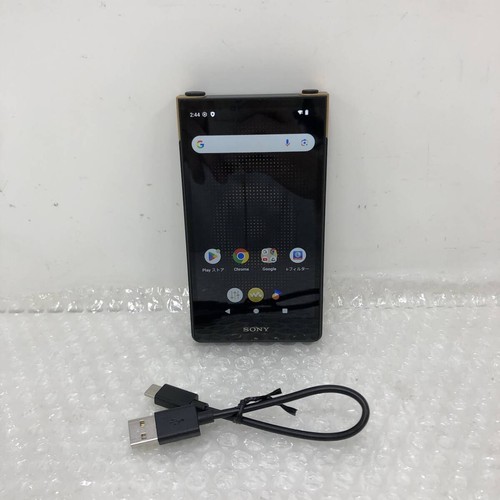 Sony zx707 walkman - nw-zx707, 64gb